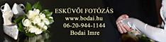 Bodai Imre
